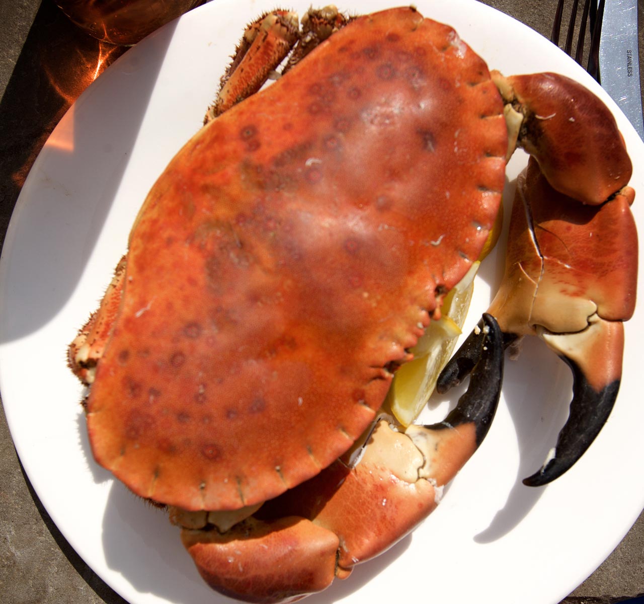 Anchorstone Cafe Menu